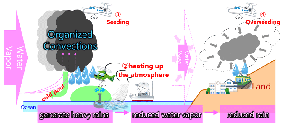 Summary of the project